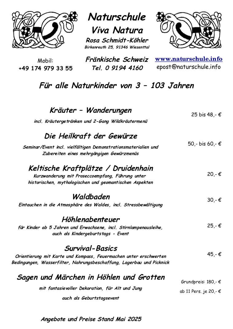 Flyer Seite 1